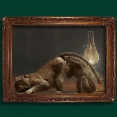 Funny Monkeys Looking For Something GIF