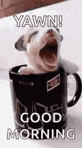 Funny Morning Sleepy Puppy In Mug GIF