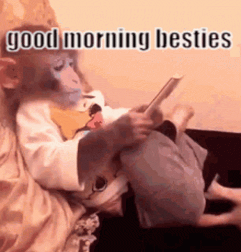Funny Good Morning Besties Monkey Call GIF