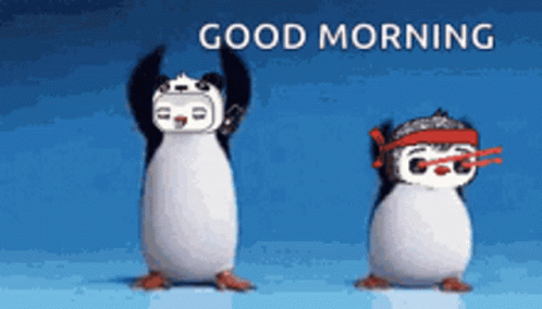 Funny Morning Dancing Penguins GIF