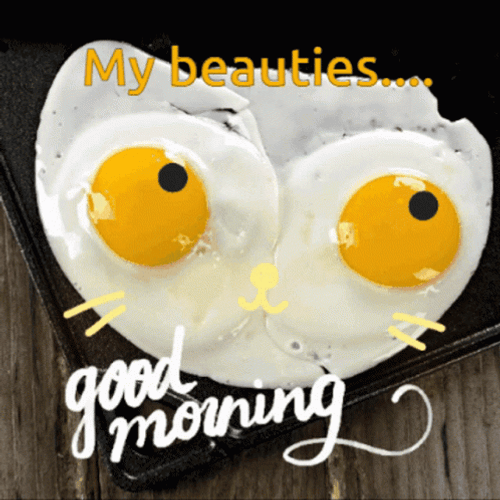 Funny Morning Sunny Side Up Kitty GIF