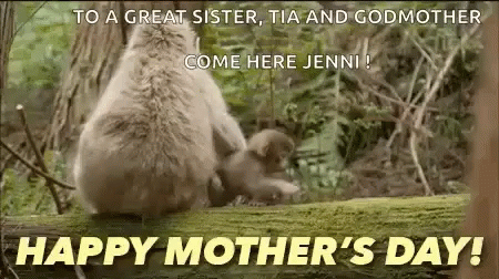 Funny Mothers Day Monkey GIF