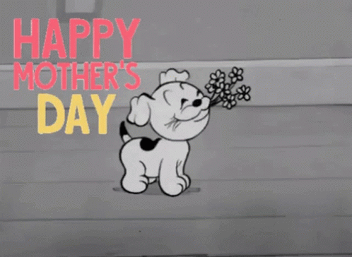 Funny Mother's Day Dog With Flowers GIF