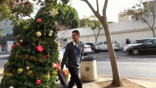 Funny Moving Christmas Tree GIF