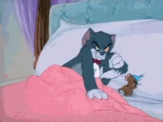 Funny Moving Jerry With Tom On Bed GIF
