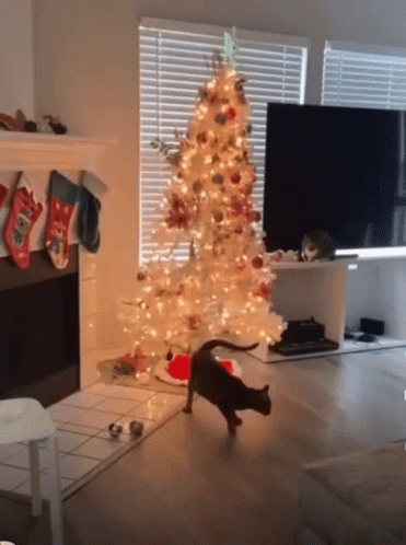 Funny Naughty Cat Knocking Down Xmas Tree GIF
