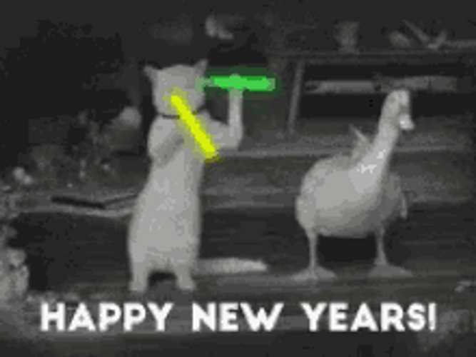 Funny New Year Dancing Cat And Duck GIF