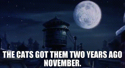 Funny November Two Years Ago GIF