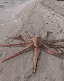 Funny Octopus Walking On Sand GIF