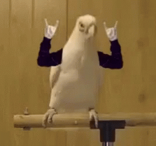 Funny Party Parrot Rocker Sign Head Banging GIF