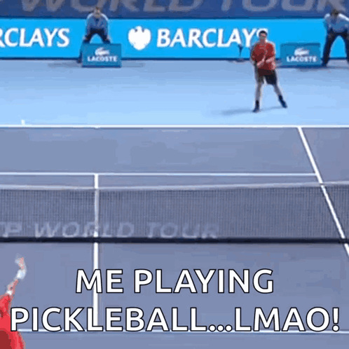 Funny Player Diving To Catch Pickleball GIF