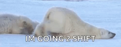 Funny Polar Bear Moving GIF