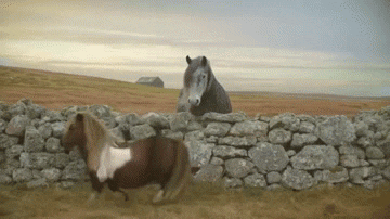 Funny Pony Moonwalk Dance GIF