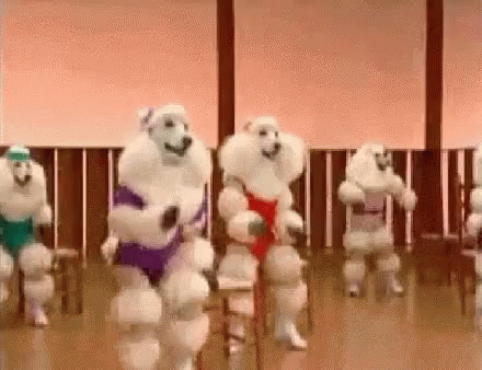 Funny Poodle Zumba Moving GIF