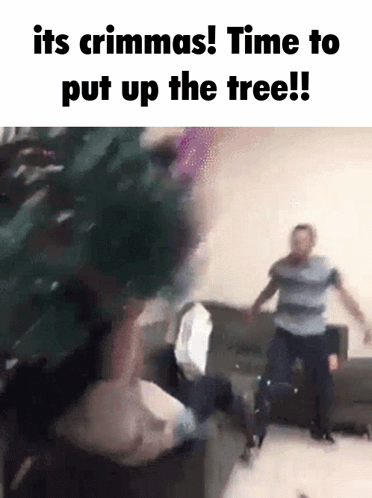 Funny Putting Up Xmas Tree Rush GIF