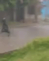 Funny Rain Happy Dog GIF