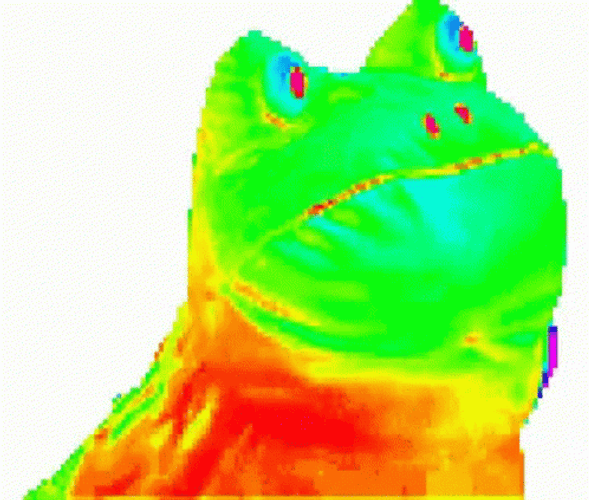 Funny Rainbow Frog Wiggling GIF
