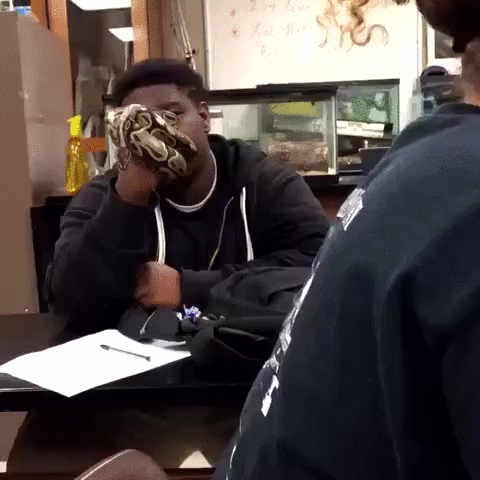 Funny Relationship Lollipop Share Snake GIF