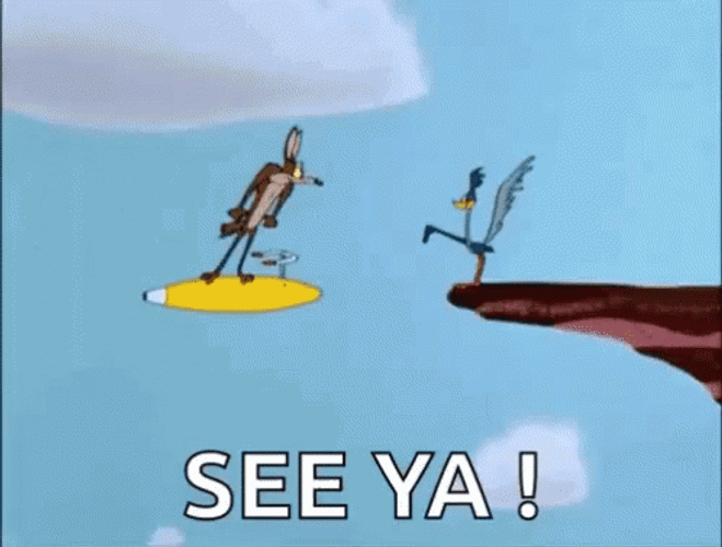 Funny Roadrunner Coyote See Ya GIF