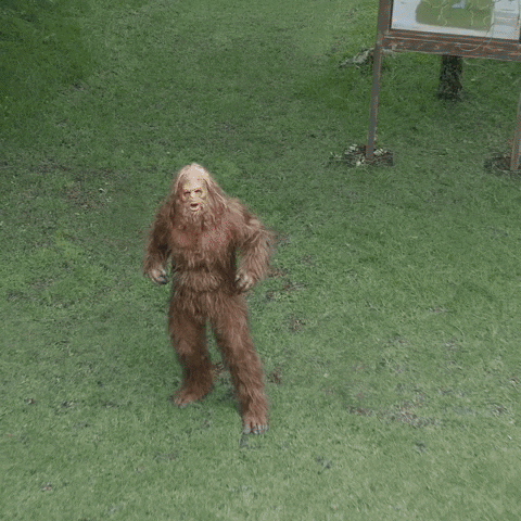 Funny Sasquatch Bracket Buster Meme GIF