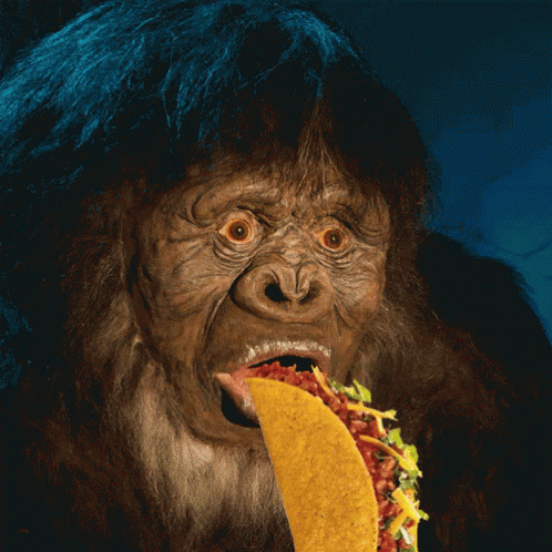 Funny Sasquatch Eating Tacos GIF