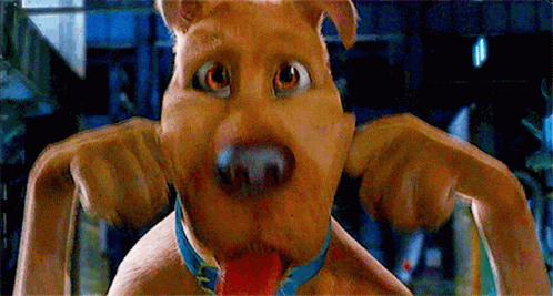 Funny Scooby Doo Googly Eyes GIF