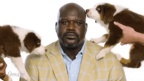 Funny Shaquille O'neal Puppy Lick GIF