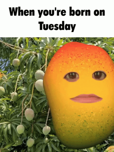 Funny Shocked Mango Fruit Filter Born On Tuesday GIF Funny Shocked Mango Fruit Filter Born On Tuesday GIF
