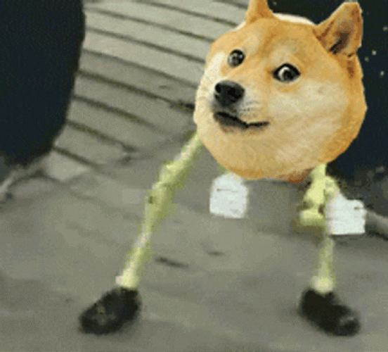 Funny Skeleton Dancing Dog GIF