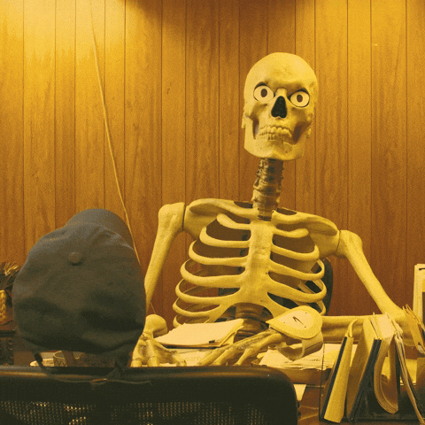 Funny Skeleton Scared In Another Skeleton GIF