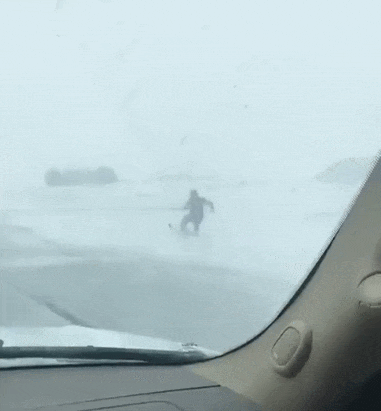 Funny Skiing Horse Carriage GIF