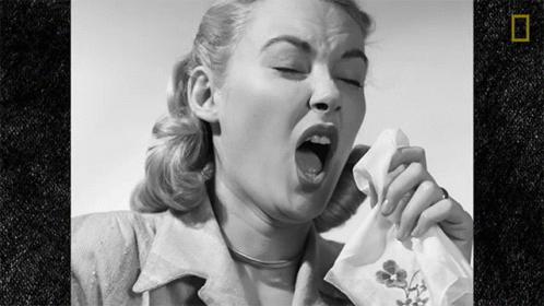 Funny Sneezing Woman GIF | GIFDB.com