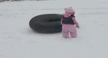 Funny Snow Dog Sliding GIF