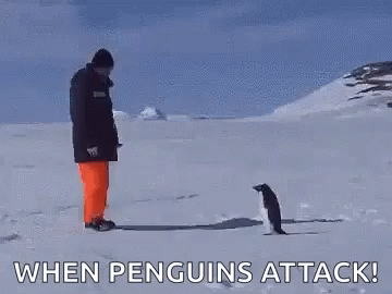 Funny Snow When Penguin Attack GIF