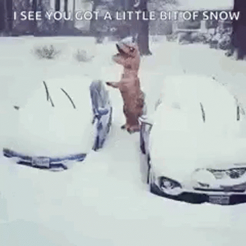 Funny Snow Dinosaur Cleaning Car GIF