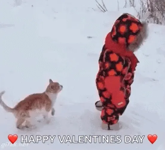 Funny Valentines Day