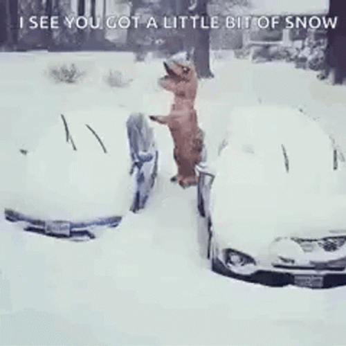 Funny Snow Dinosaur Cleaning Car GIF