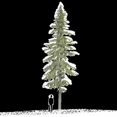 Funny Snow Fall Black Bird GIF