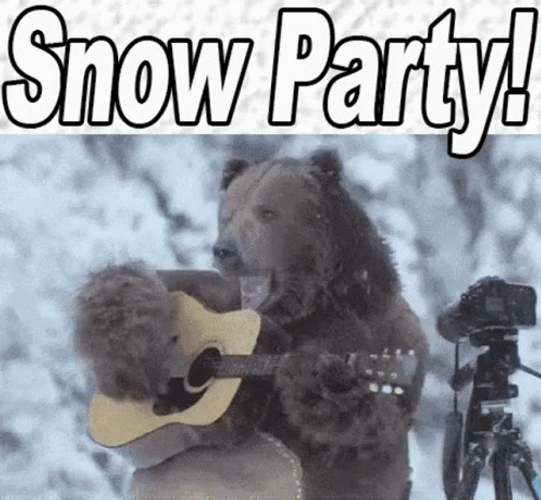 Funny Snow Party Bear Playing Guitar GIF