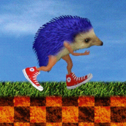 Funny Sonic Running Hedgehog With Shoes GIF