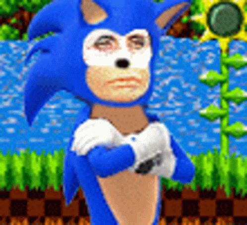 Funny Sonic With A Man Face GIF