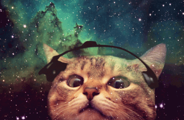 Funny Space Cat Headphones GIF