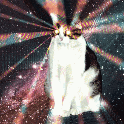Funny Space Cat Psychic Powers Stars GIF