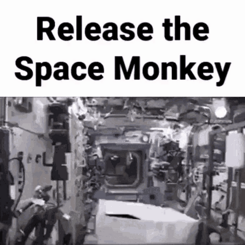 Funny Space Monkey Meme GIF