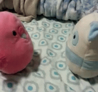 Funny Squishmallow Friends Battle GIF