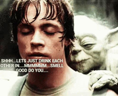 Funny Star Wars Yoda And Luke Skywalker Interaction GIF