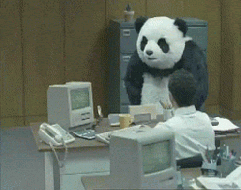 Funny Stress Panda Office Freak Out GIF