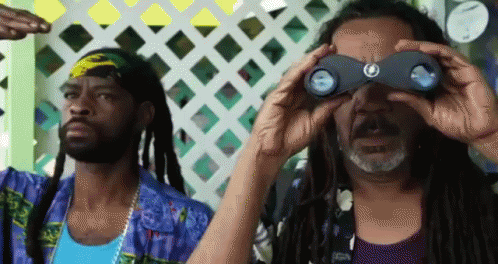 Funny Synchronized Spying Thru Binoculars GIF