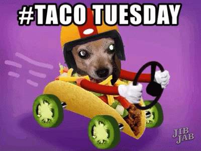 Funny Taco Tuesday Puppy Riding GIF