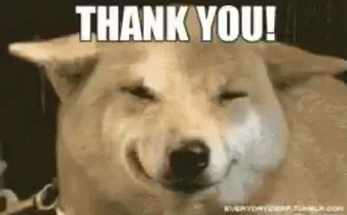 Funny Thank You Doggo GIF